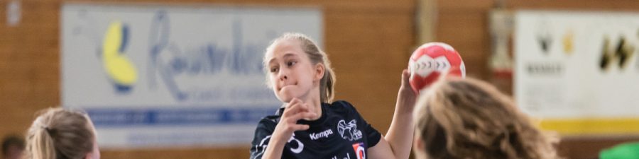 TSR SVBornheim Banner